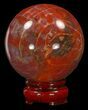 Red & Purple Petrified Wood Sphere - Madagascar #41943-1
